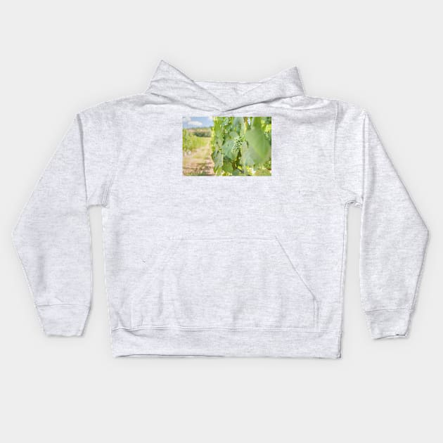 Okanagan Valley Grapevines and Blue Sky in Summer Kids Hoodie by Amy-K-Mitchell